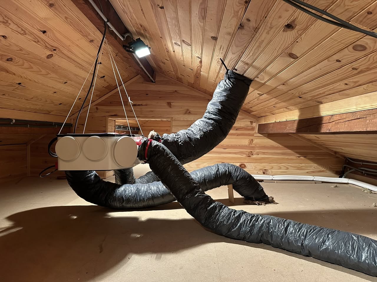 Installation d’une VMC hygroréglable Octeo avec sortie de toit en toiture proche de Riom. Installation d’une VMC hygroréglable Octeo avec sortie de toit en toiture proche de Riom. par ELECmt Frédéric Apert Électricité Générale en Auvergne Puy de Dôme - Chatel-Guyon - Riom